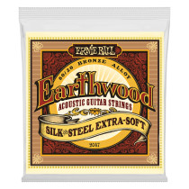 P02047 ERNIE BALL