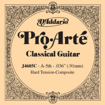 J4605C D'ADDARIO