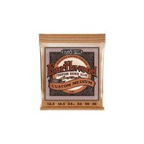 P02143 ERNIE BALL