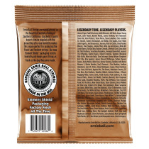 P02143 ERNIE BALL