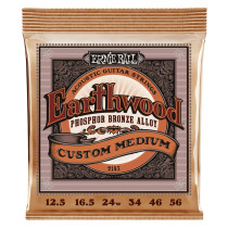P02143 ERNIE BALL