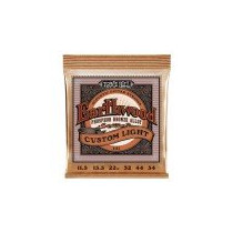P02145 ERNIE BALL