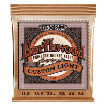 P02145 ERNIE BALL