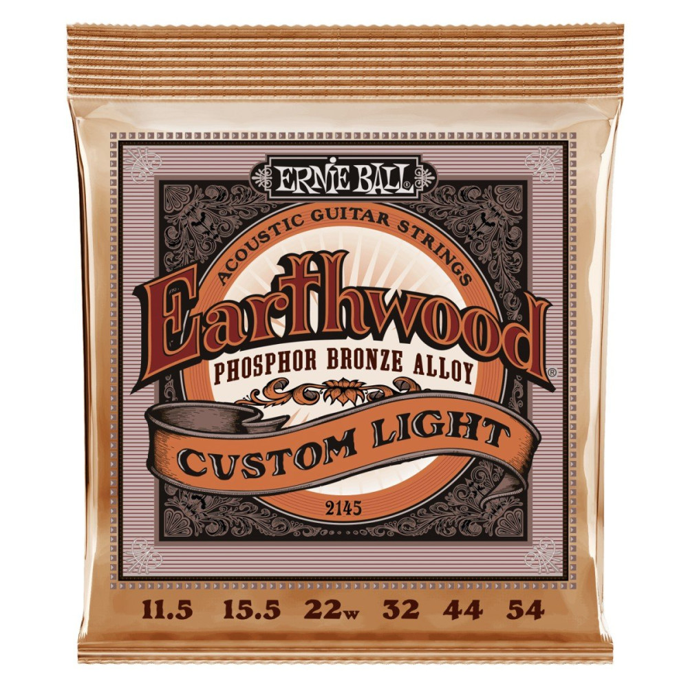 P02145 ERNIE BALL
