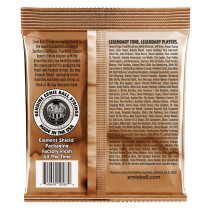 P02145 ERNIE BALL