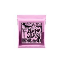 P02213 ERNIE BALL