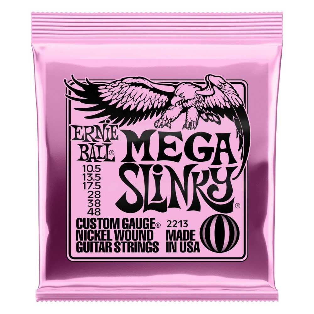 P02213 ERNIE BALL