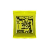 P02621 ERNIE BALL
