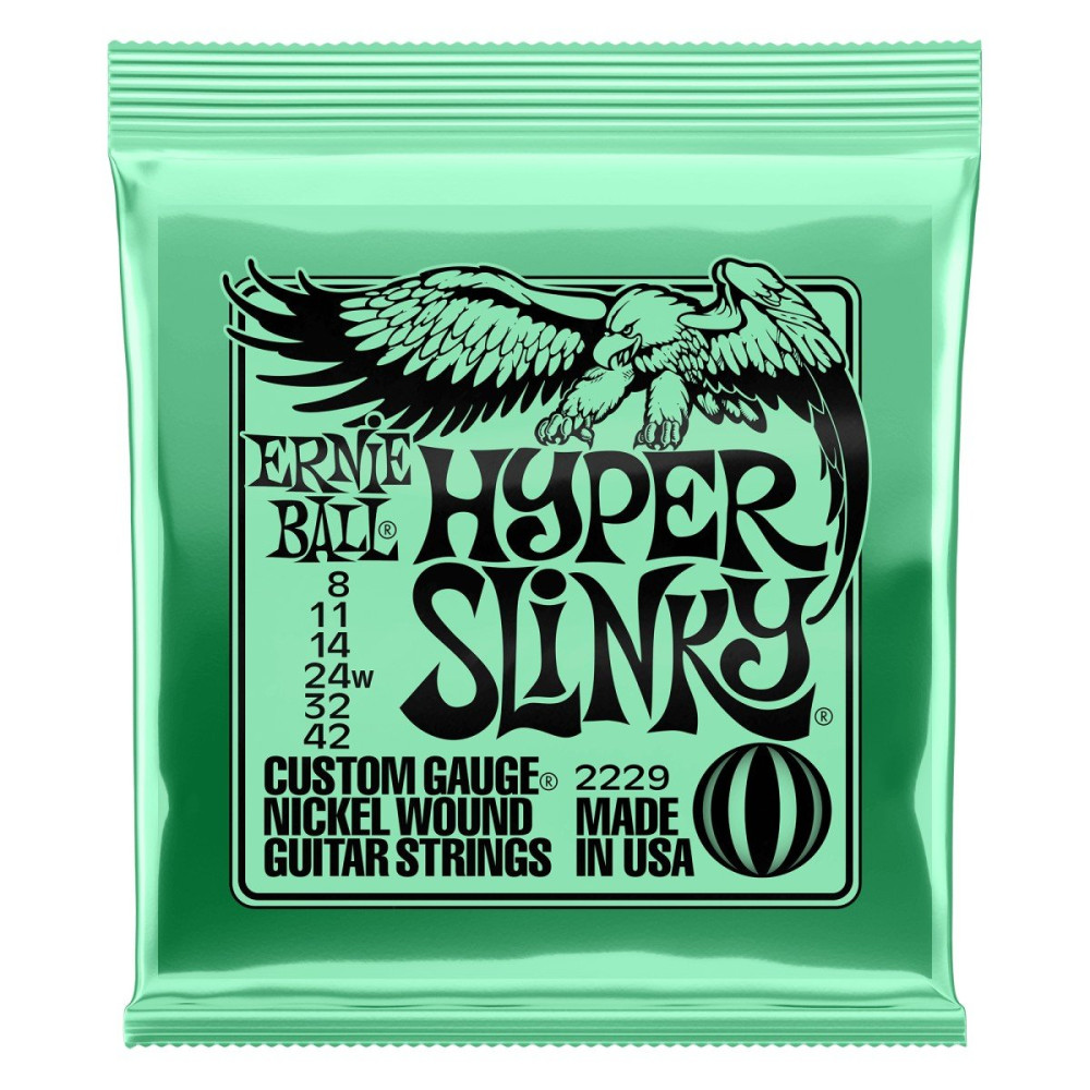 P02229 ERNIE BALL