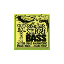 P02832 ERNIE BALL