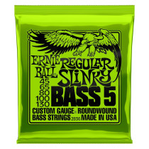 P02836 ERNIE BALL