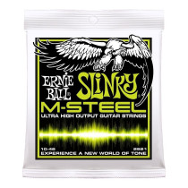 P02921 ERNIE BALL