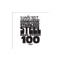 P01397 ERNIE BALL
