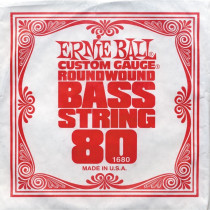 P01680 ERNIE BALL
