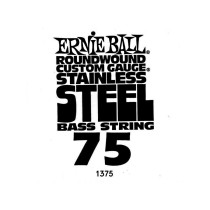 P01375 ERNIE BALL