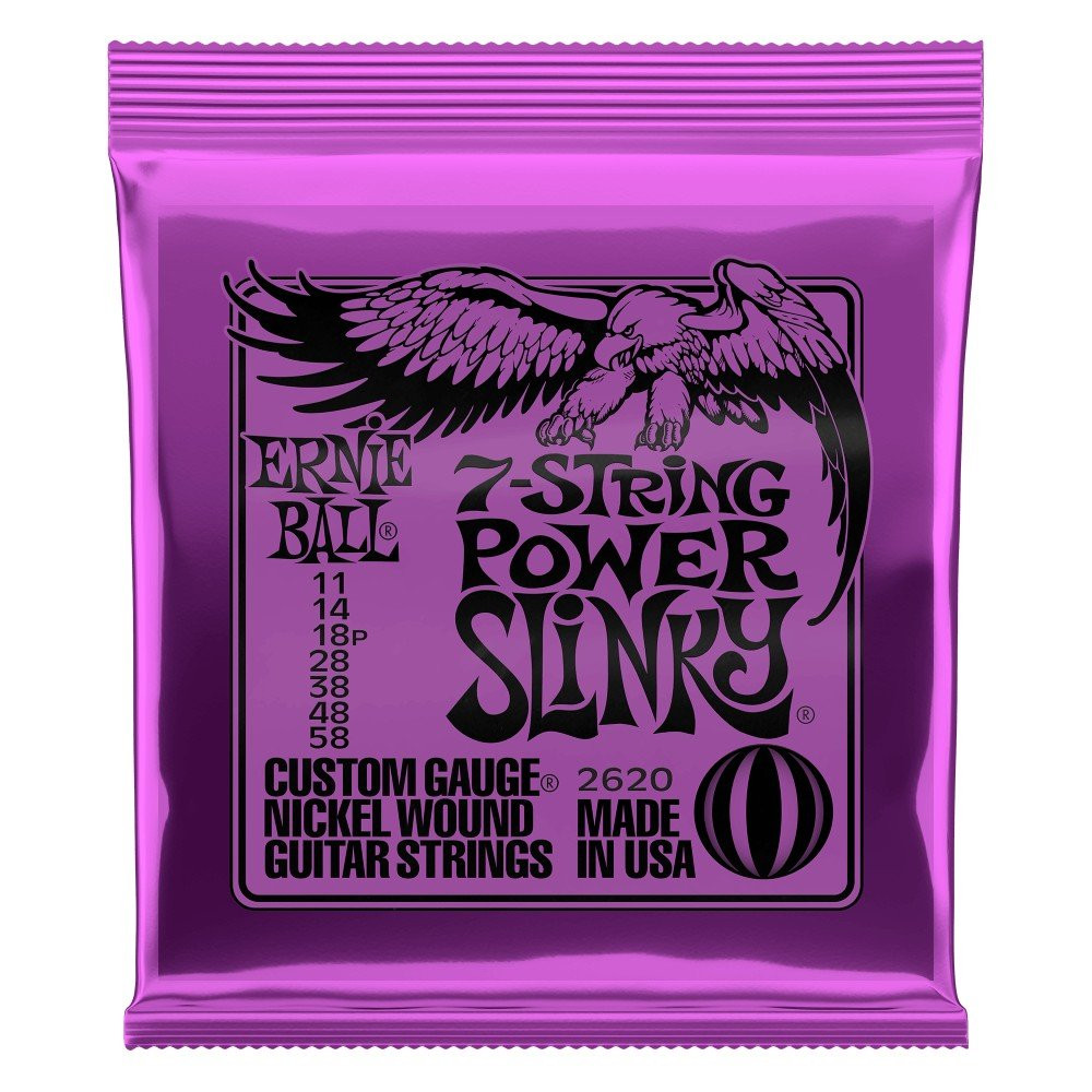 P02620 ERNIE BALL