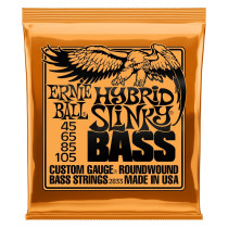 P02833 ERNIE BALL