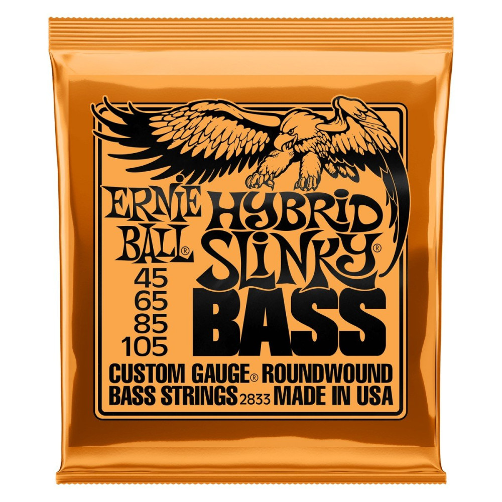 P02833 ERNIE BALL
