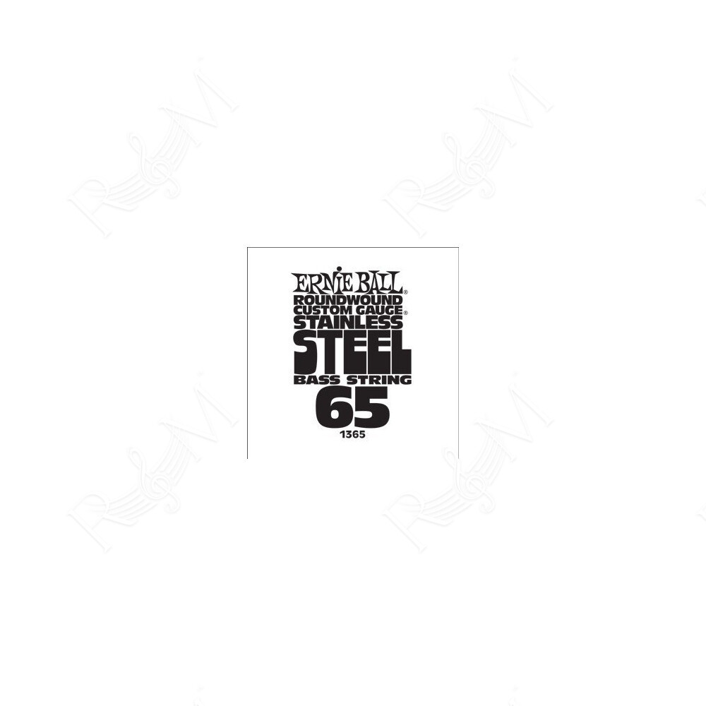 P01365 ERNIE BALL