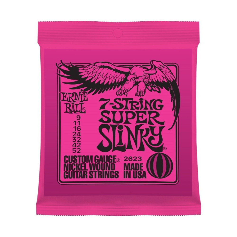P02623 ERNIE BALL