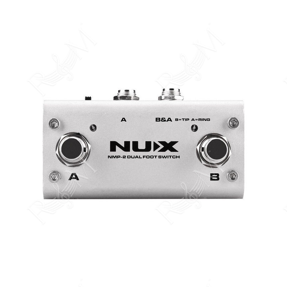 NMP-2 NUX