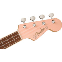 0970533556 SQUIER-FENDER