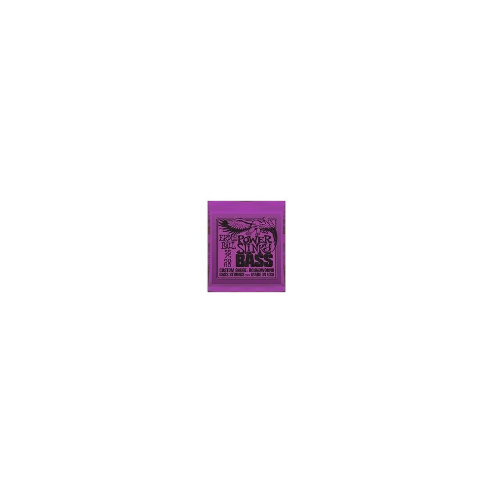 P02831 ERNIE BALL