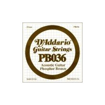 PB036 D'ADDARIO