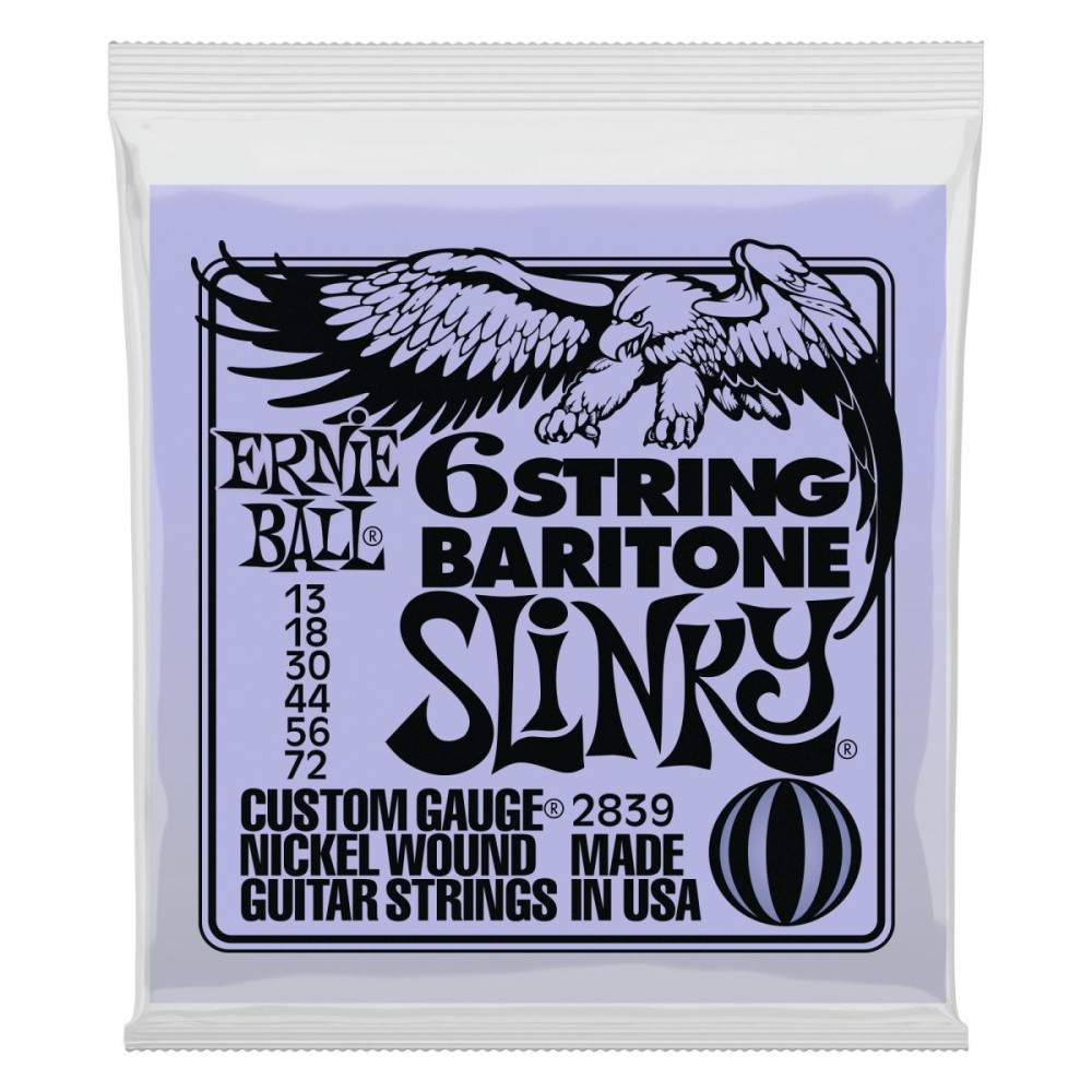 P02839 ERNIE BALL