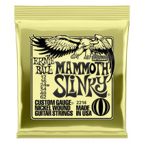 P02214 ERNIE BALL