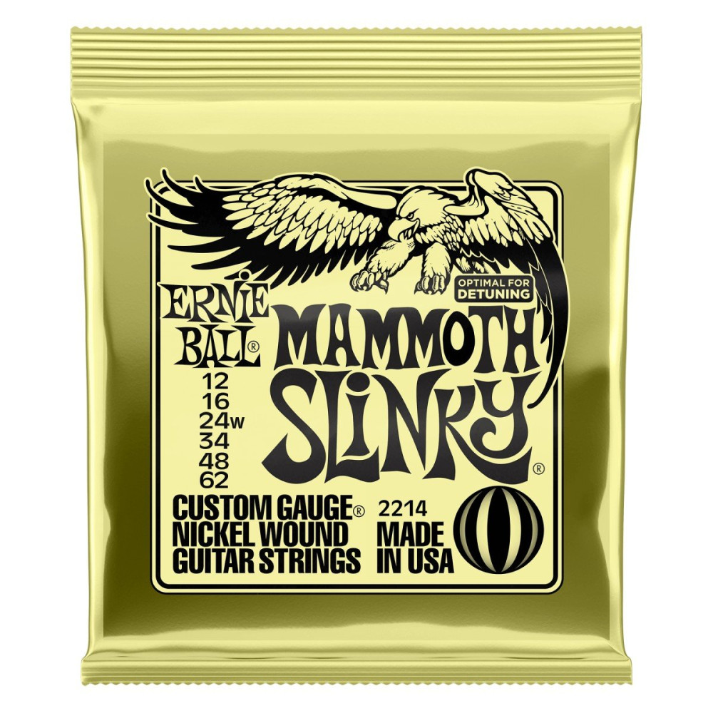 P02214 ERNIE BALL
