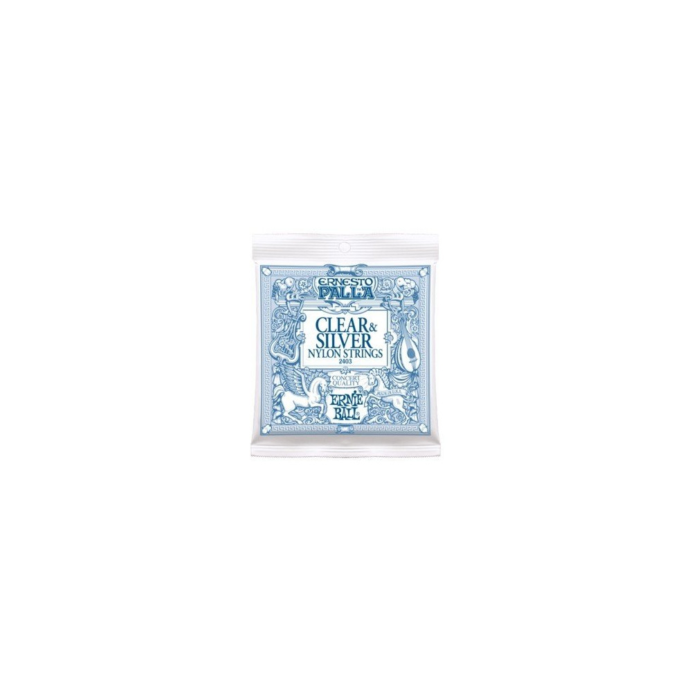 P02403 ERNIE BALL