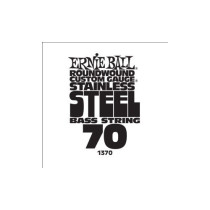 P01370 ERNIE BALL