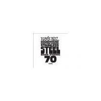 P01370 ERNIE BALL
