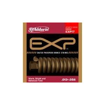 EXP17 D'ADDARIO