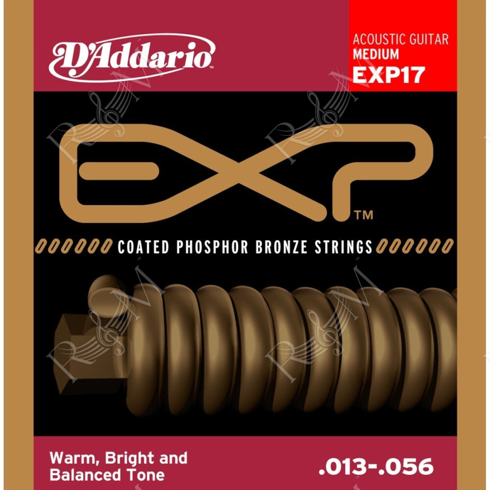 EXP17 D'ADDARIO