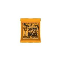 P02838 ERNIE BALL