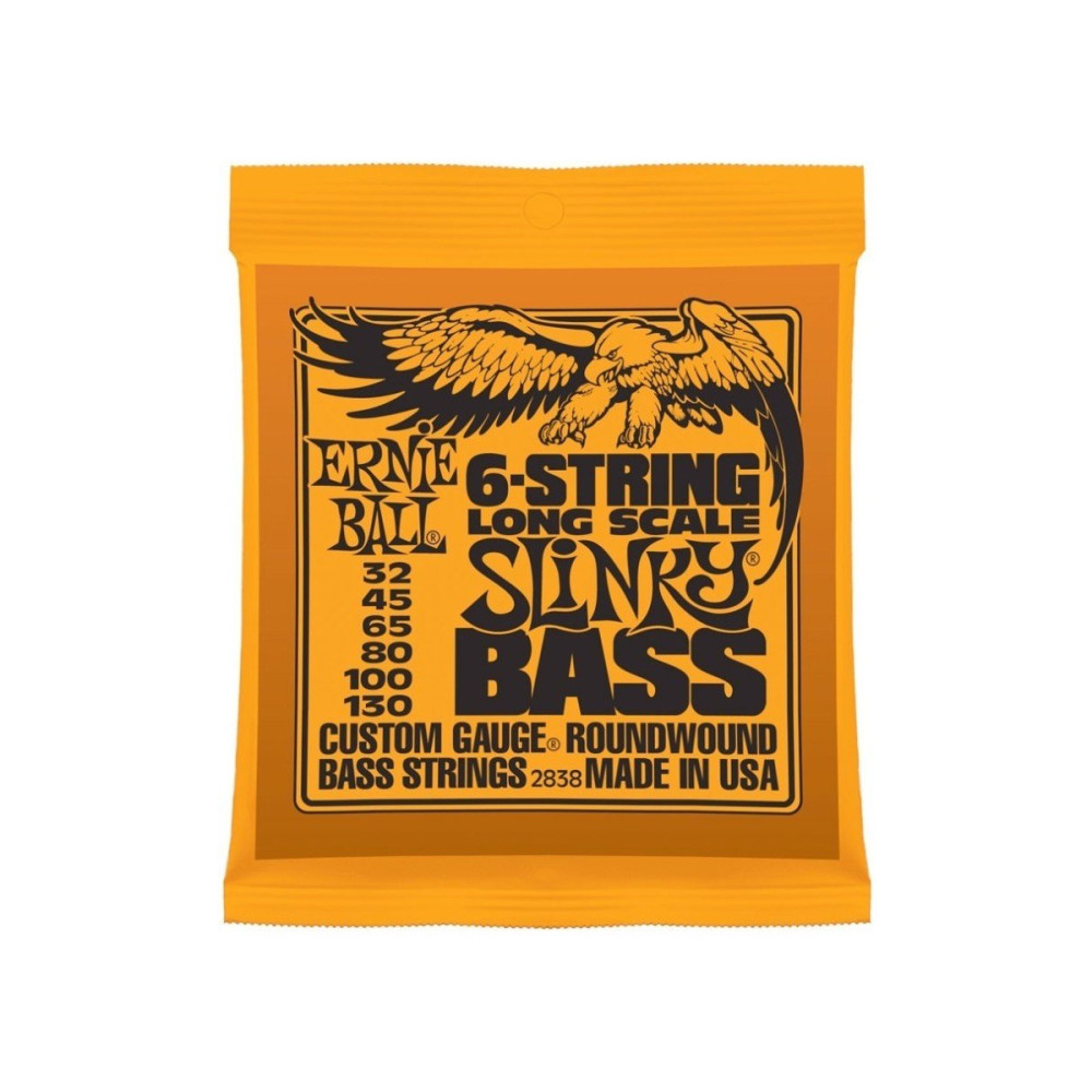 P02838 ERNIE BALL
