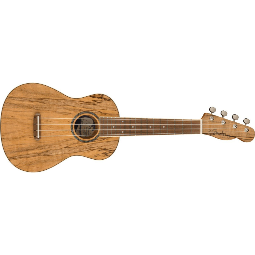 0970450594 SQUIER-FENDER