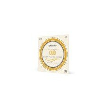 EJ95 D'ADDARIO