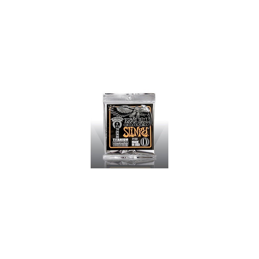 P03122 ERNIE BALL