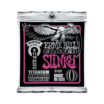 P03123 ERNIE BALL