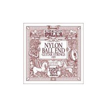 P02409 ERNIE BALL