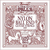 P02409 ERNIE BALL