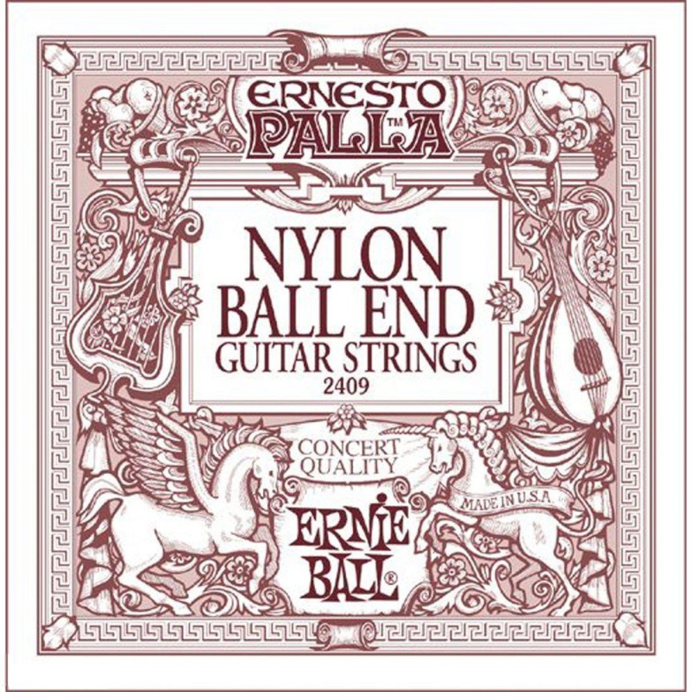 P02409 ERNIE BALL