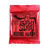 P02226 ERNIE BALL
