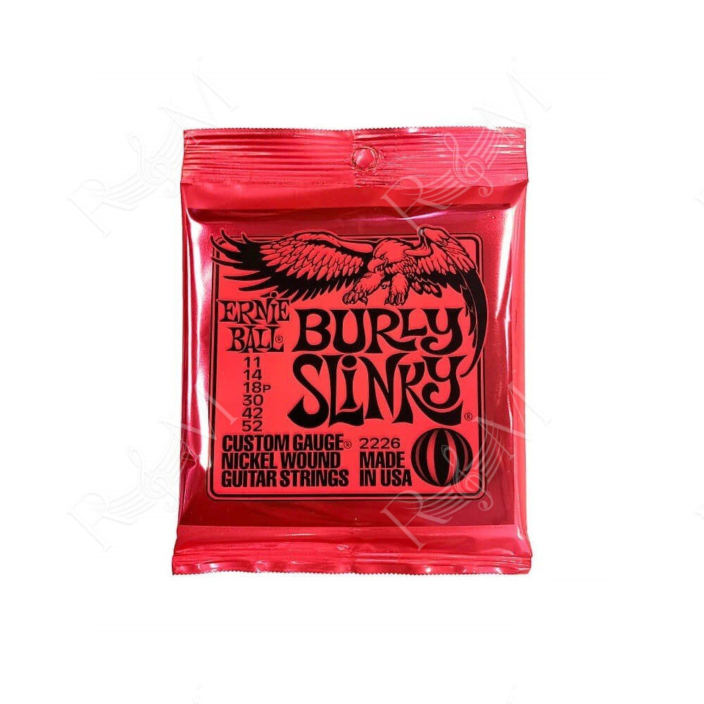 P02226 ERNIE BALL