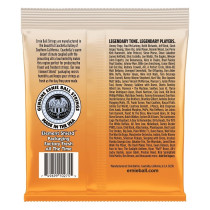 P02329 ERNIE BALL