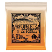 P02329 ERNIE BALL