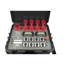 PLE-30-80 Direct Control Chain Hoist Controller - Box version